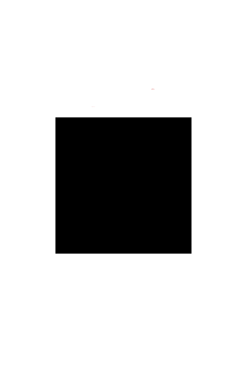 TOKIO SS O-NECK
