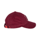 H-TORE X