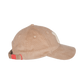 H-TORE X